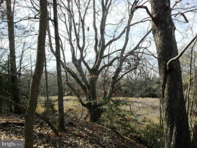 NONE AVAILABLE - Land