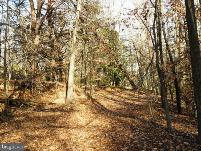 NONE AVAILABLE - Land