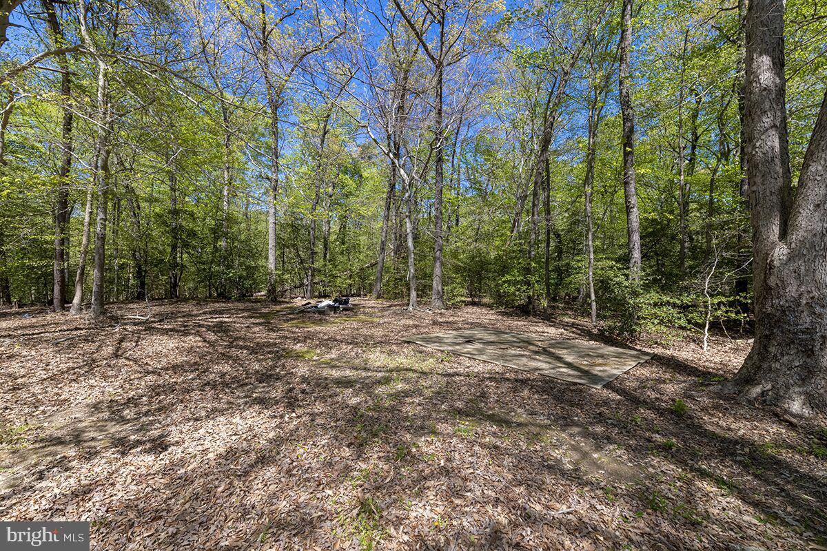 PETZOLD - Residential Lease