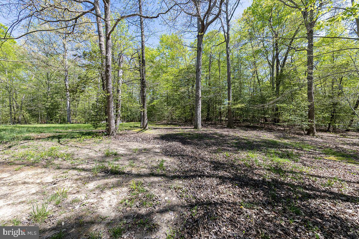 PETZOLD - Residential Lease