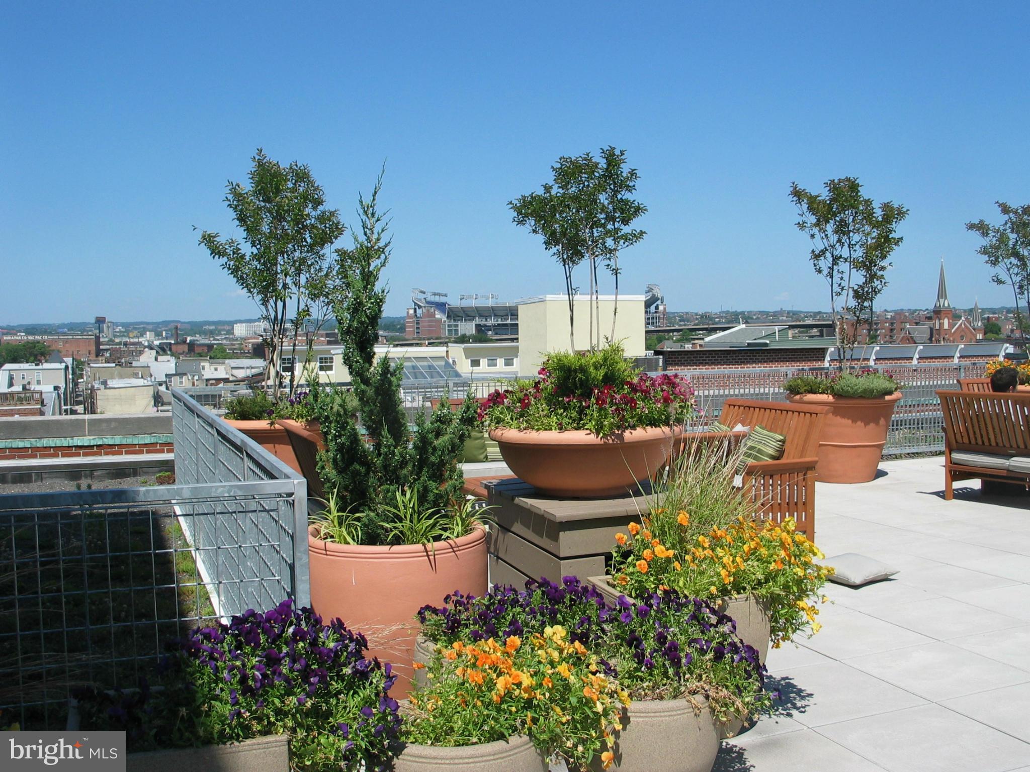 FEDERAL HILL HISTORIC DISTRICT - Residential Lease