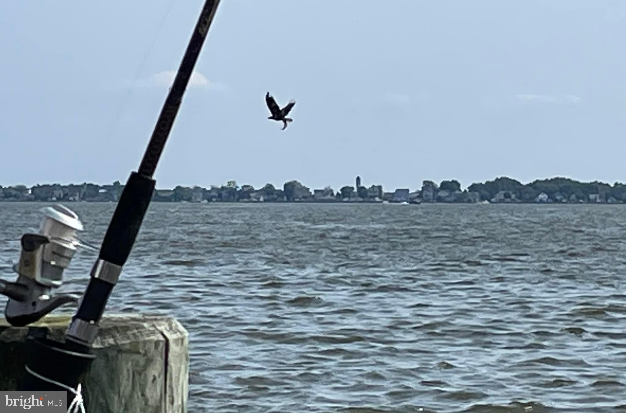 WILDWOOD BEACH - Residential