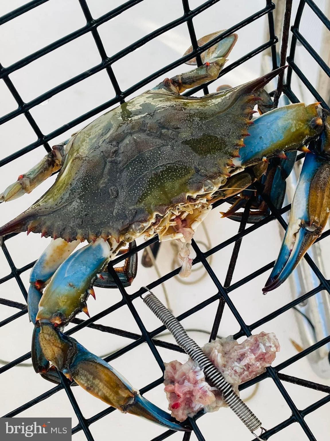 WILDWOOD BEACH - Residential