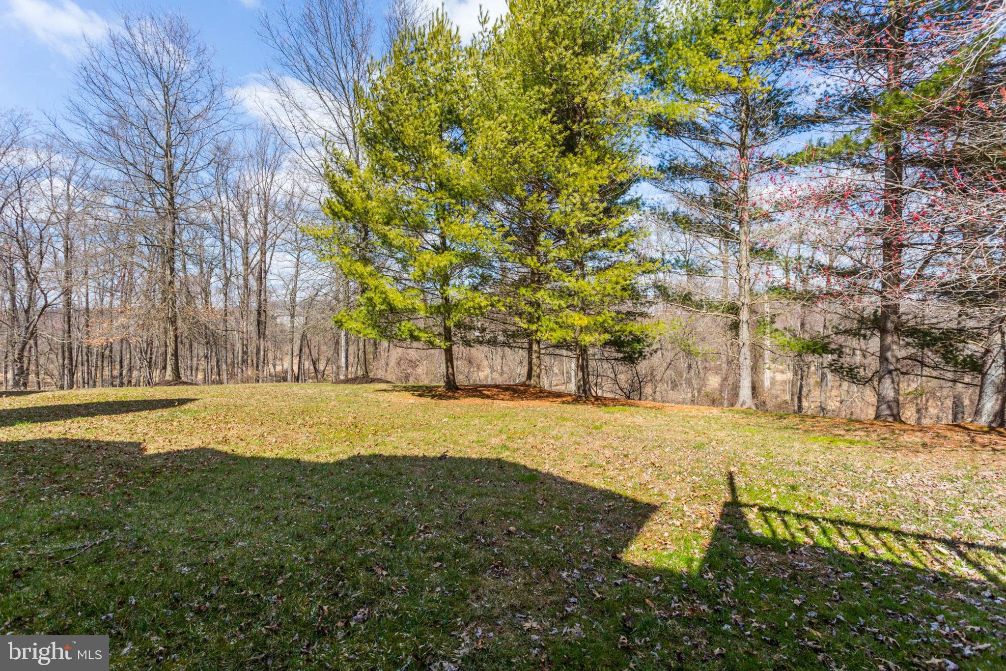 FOXRIDGE - Residential