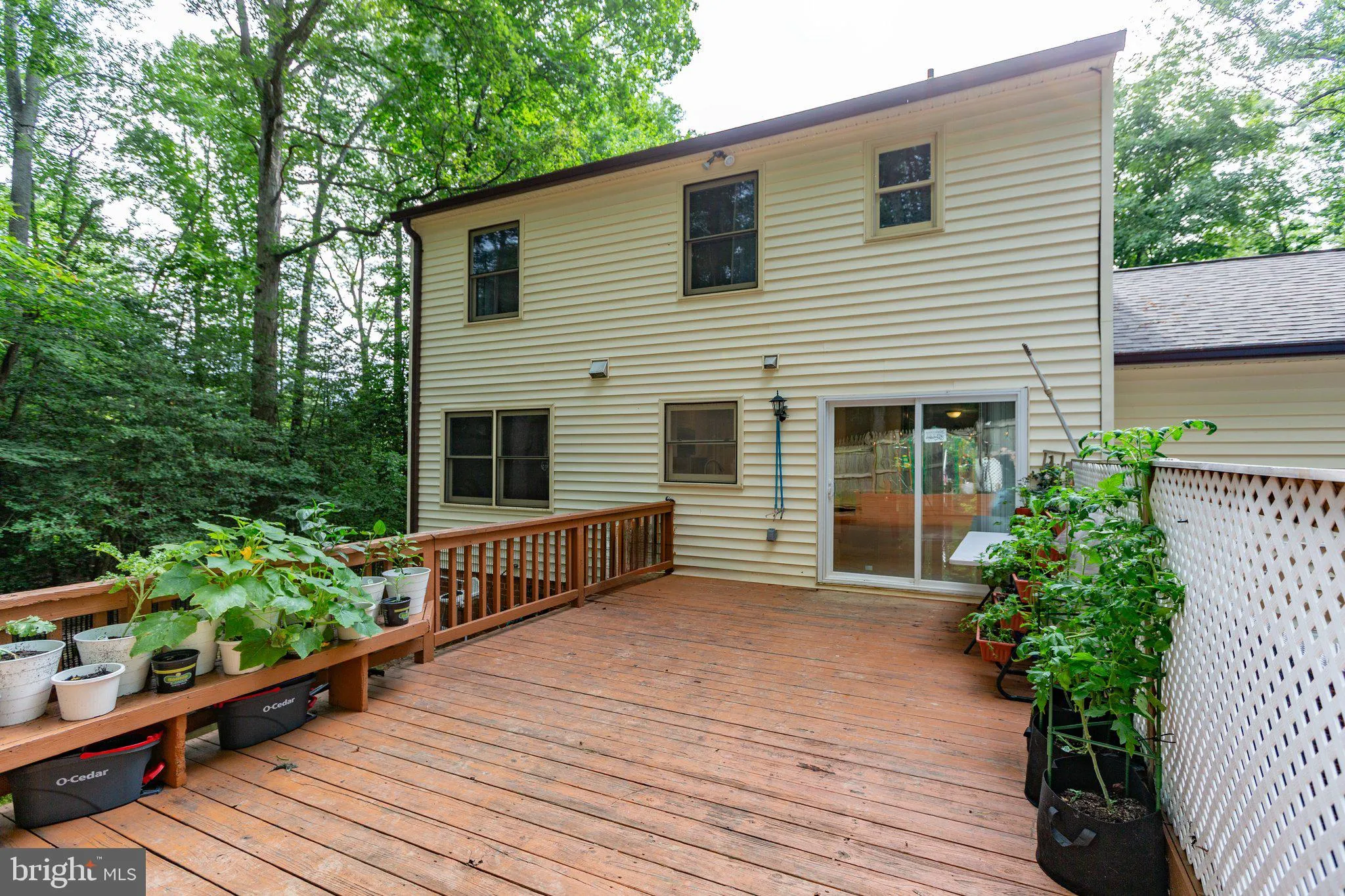 Stafford, Virginia 22554, United States, 5 Bedrooms Bedrooms, ,4 BathroomsBathrooms,Residential,Coming Soon,150148