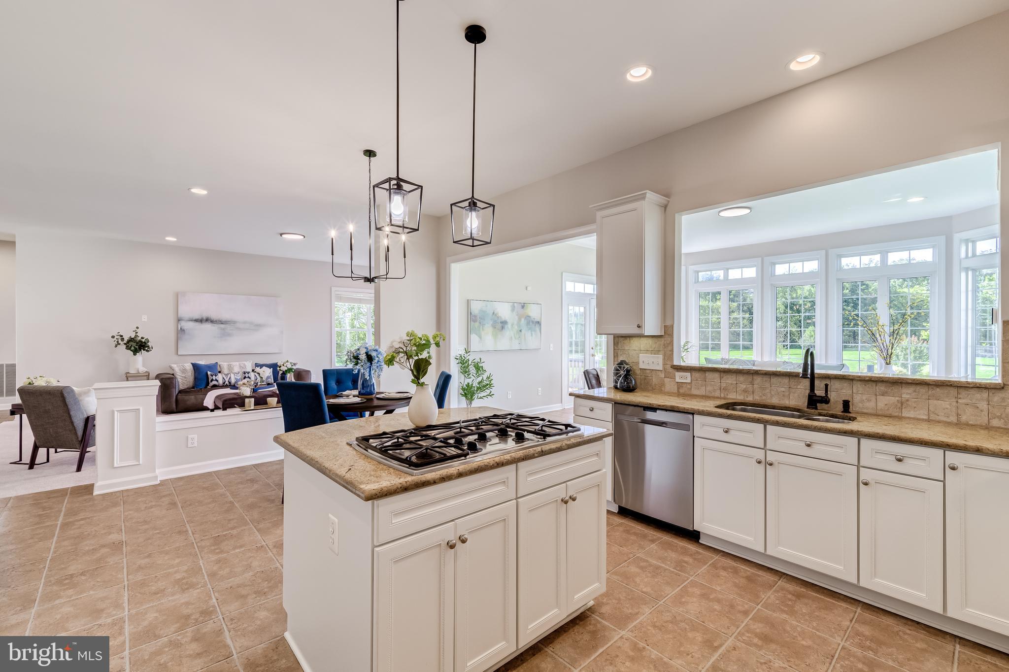 PARK AT BELLE TERRA - Residential