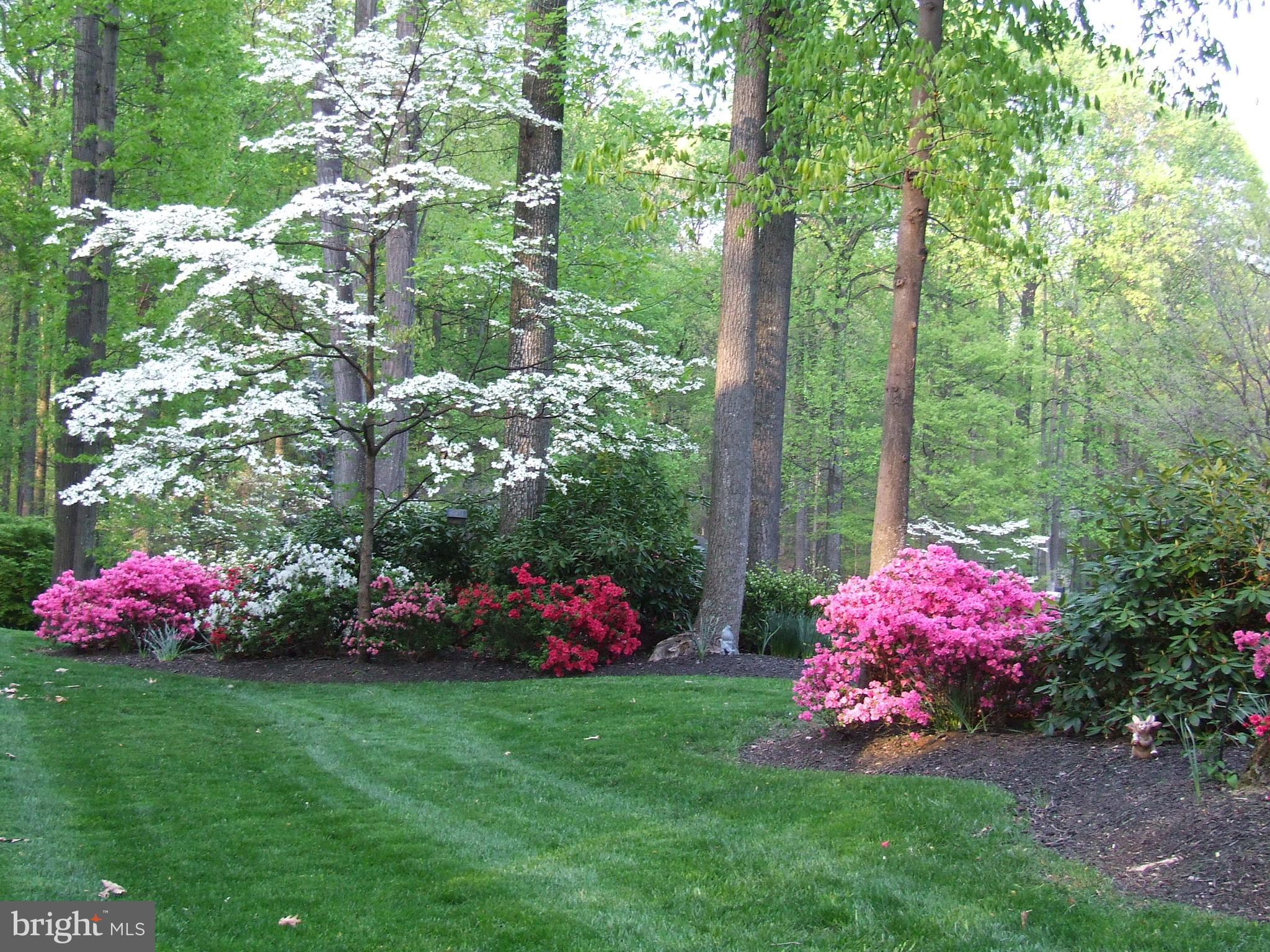 WORTHINGTON HILLSIDE II - Residential