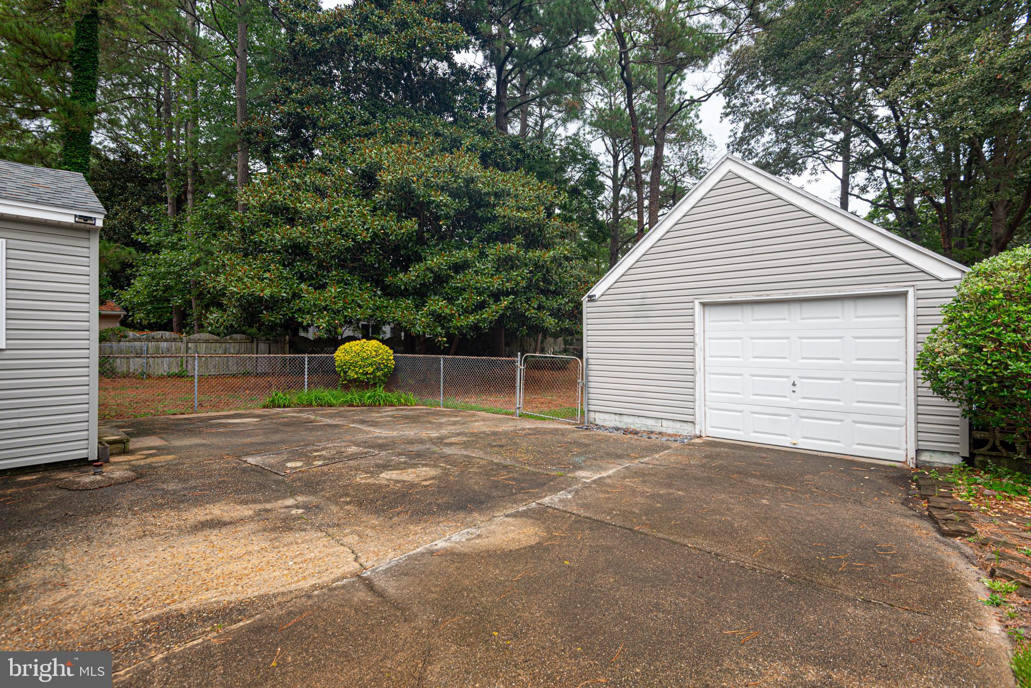 509 LOBLOLLY LANE