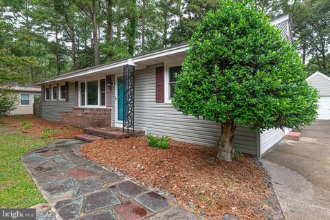 509 LOBLOLLY LANE SALISBURY MD 21801
