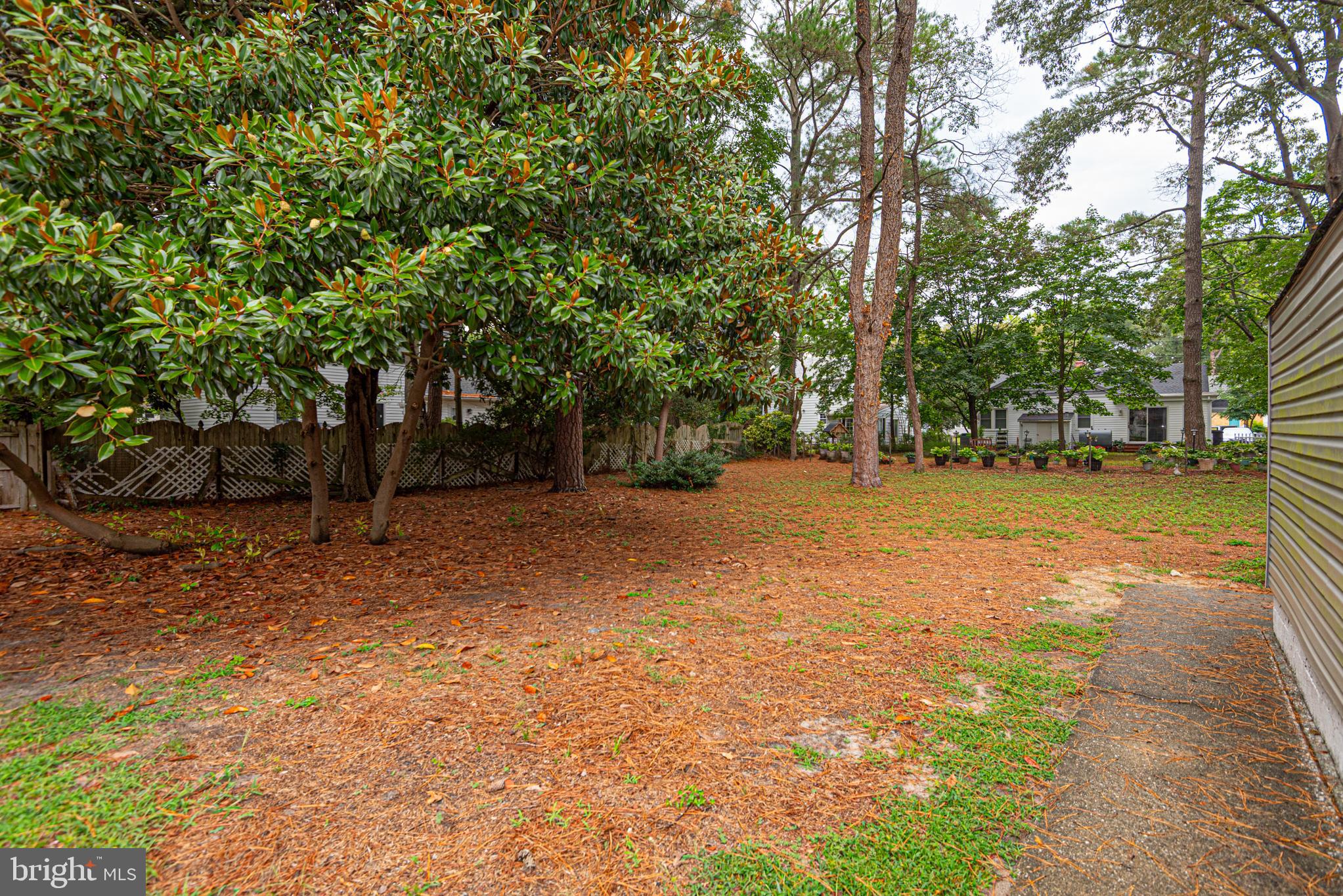 509 LOBLOLLY LANE