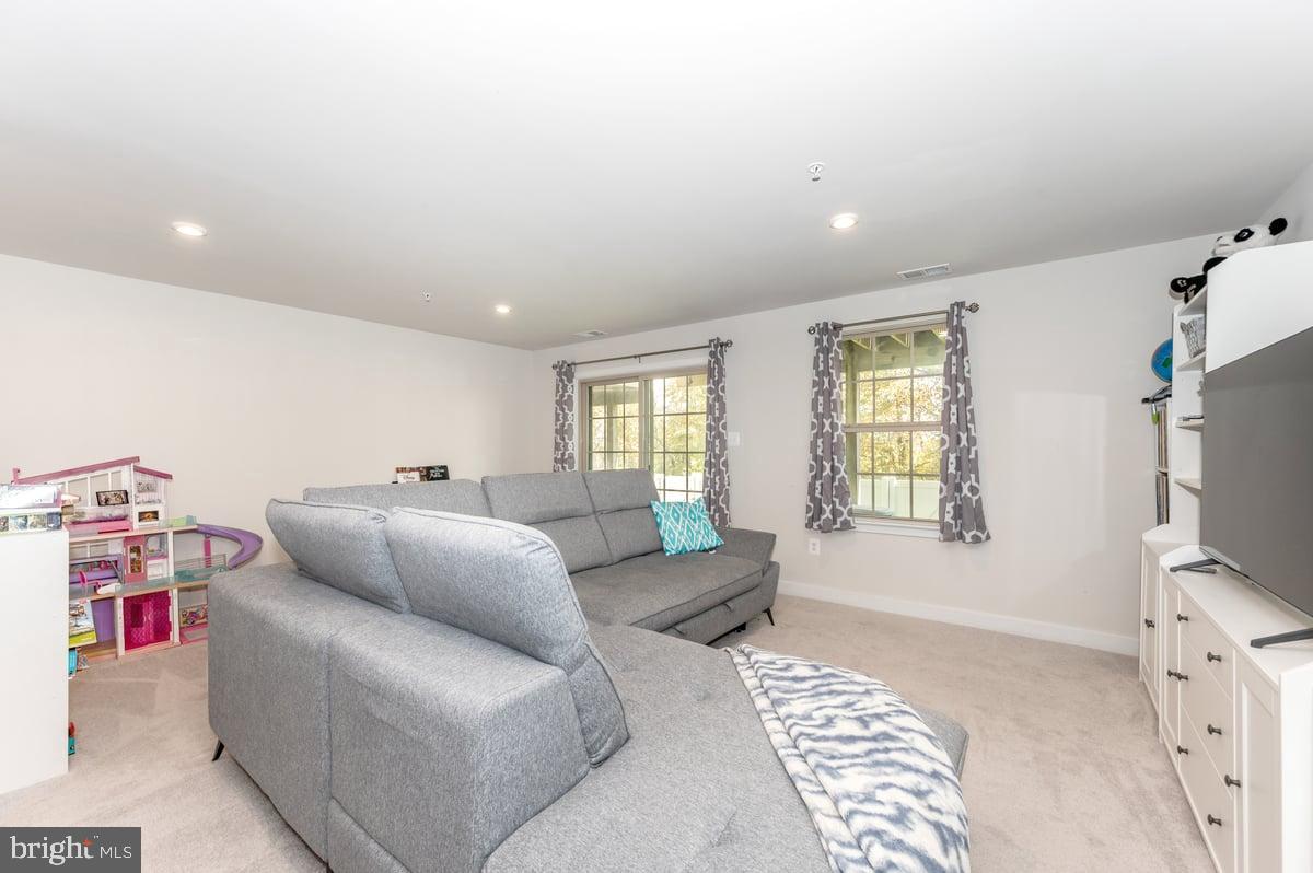 LAKE LINGANORE EAGLEHEAD - Residential