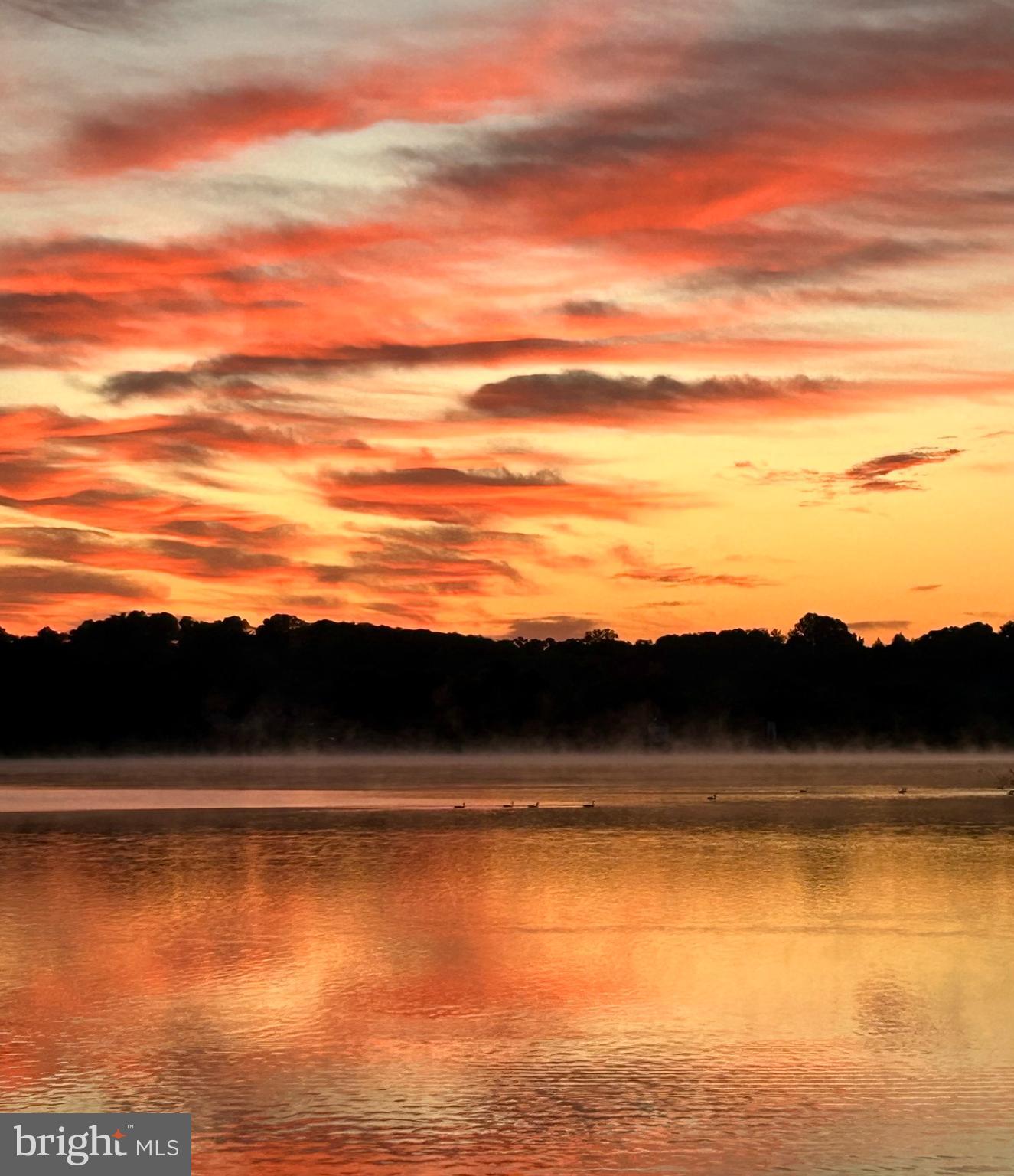 SPRINGTON ESTATES - Residential Lease