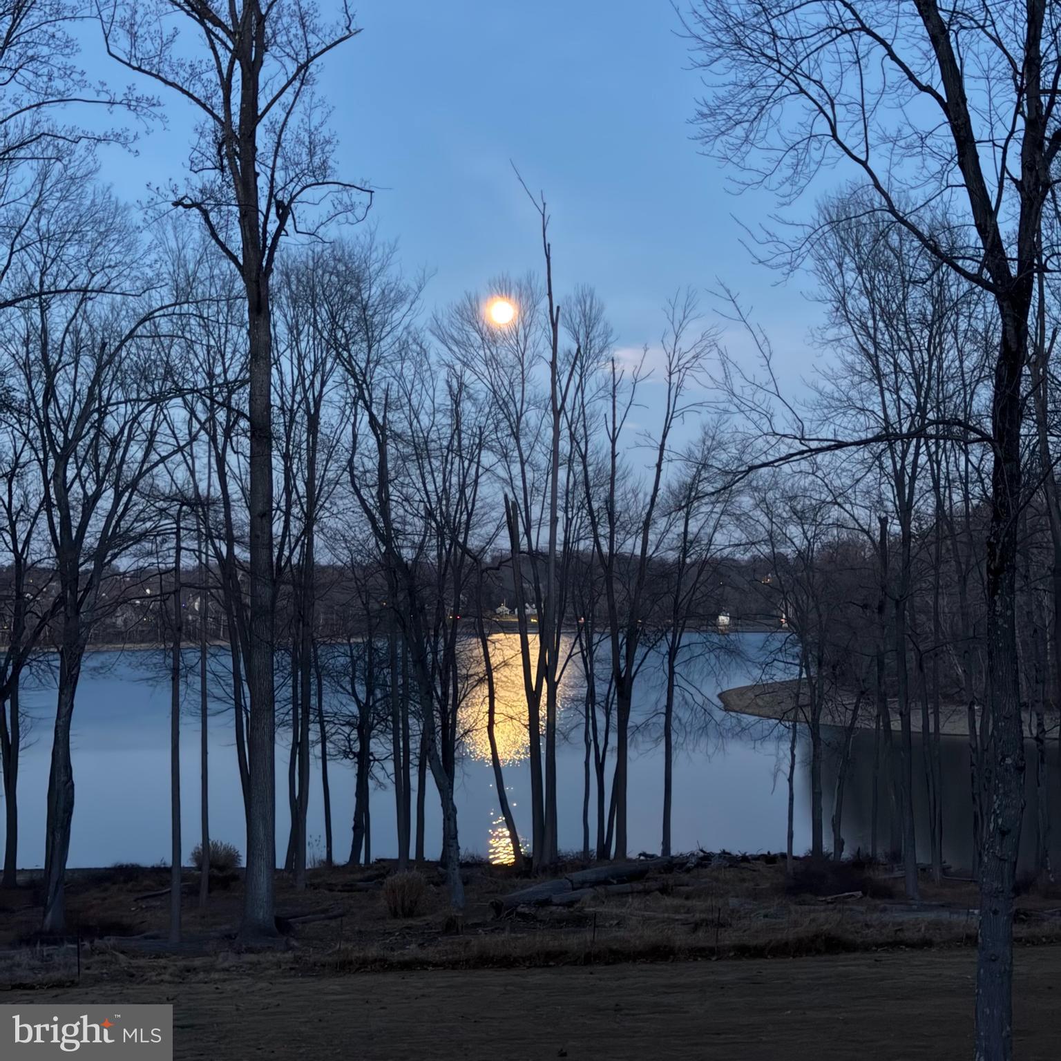 SPRINGTON ESTATES - Residential Lease