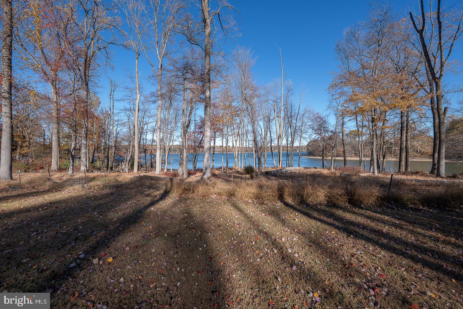 SPRINGTON ESTATES - Residential Lease