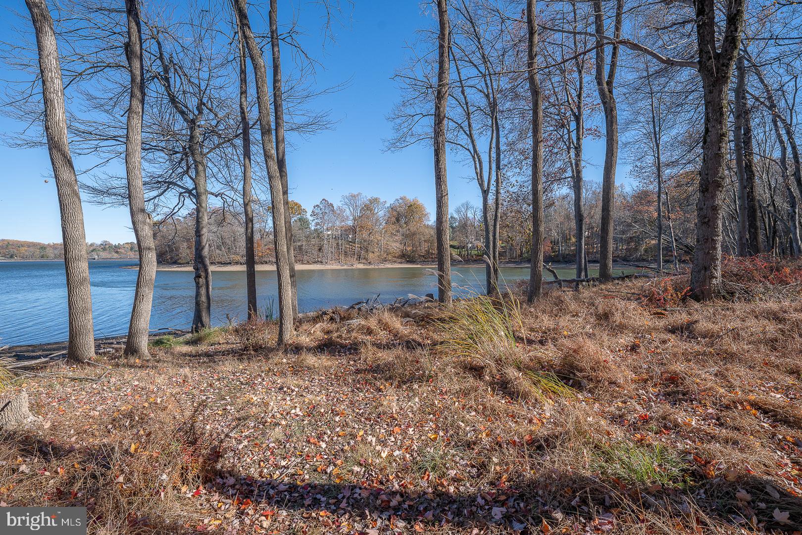 SPRINGTON ESTATES - Residential Lease