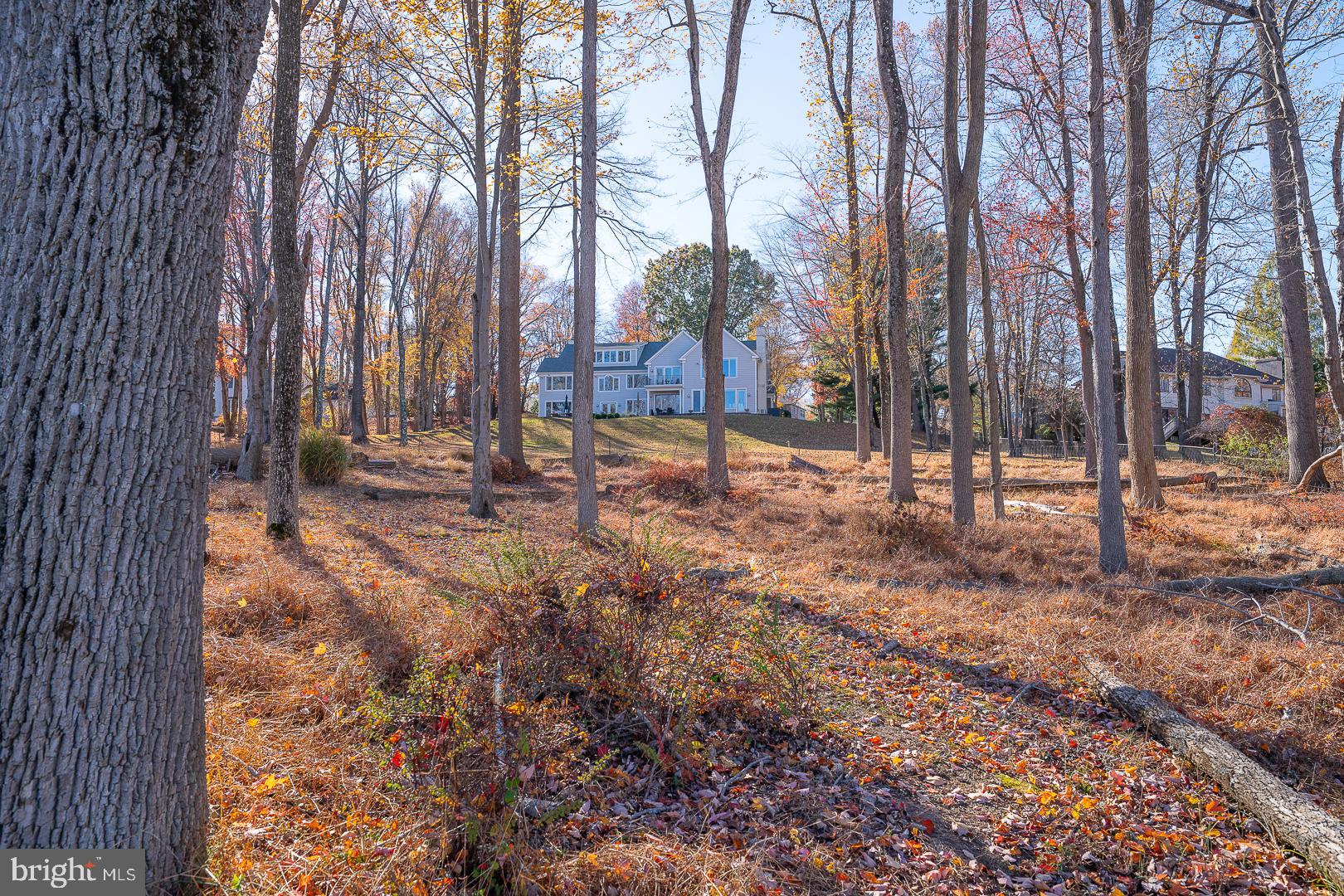 SPRINGTON ESTATES - Residential Lease