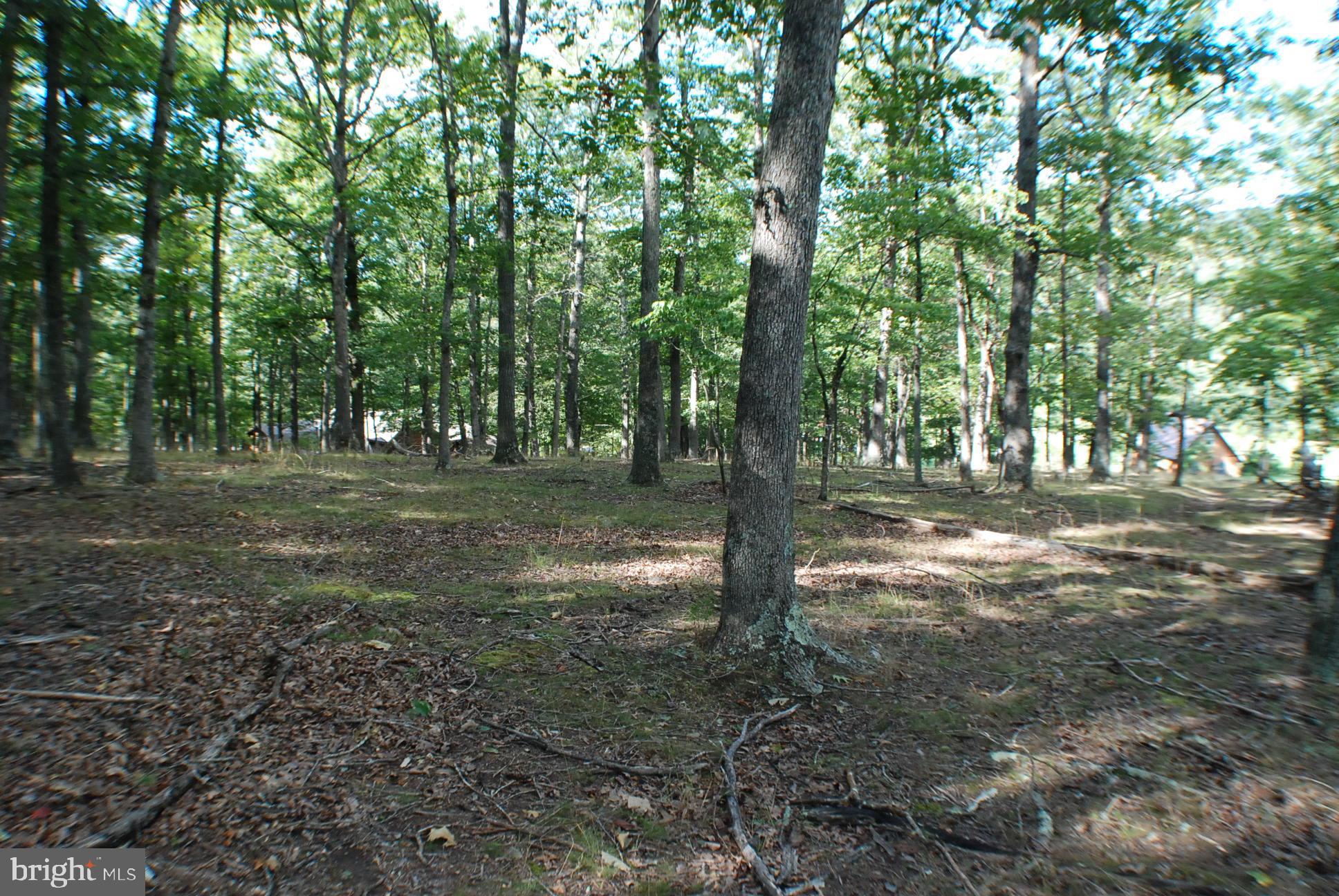 THE CROSSING AT GREAT CA - Land