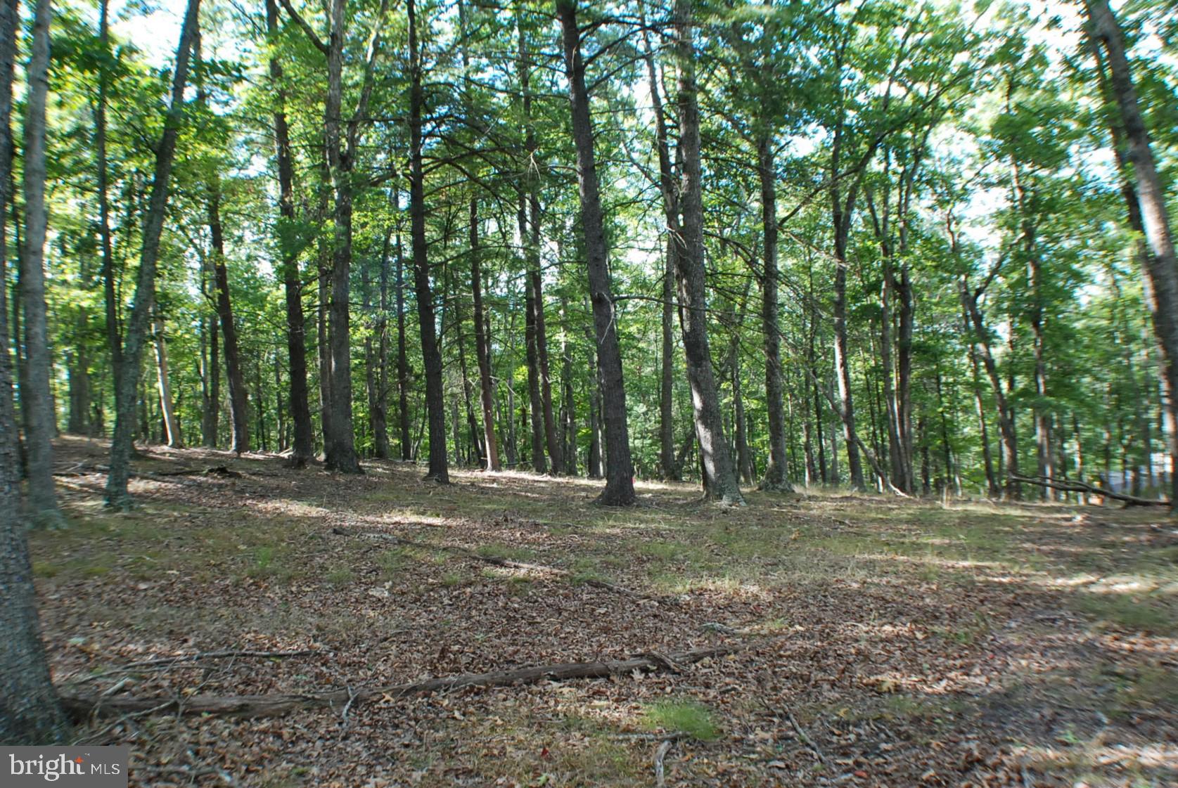 THE CROSSING AT GREAT CA - Land