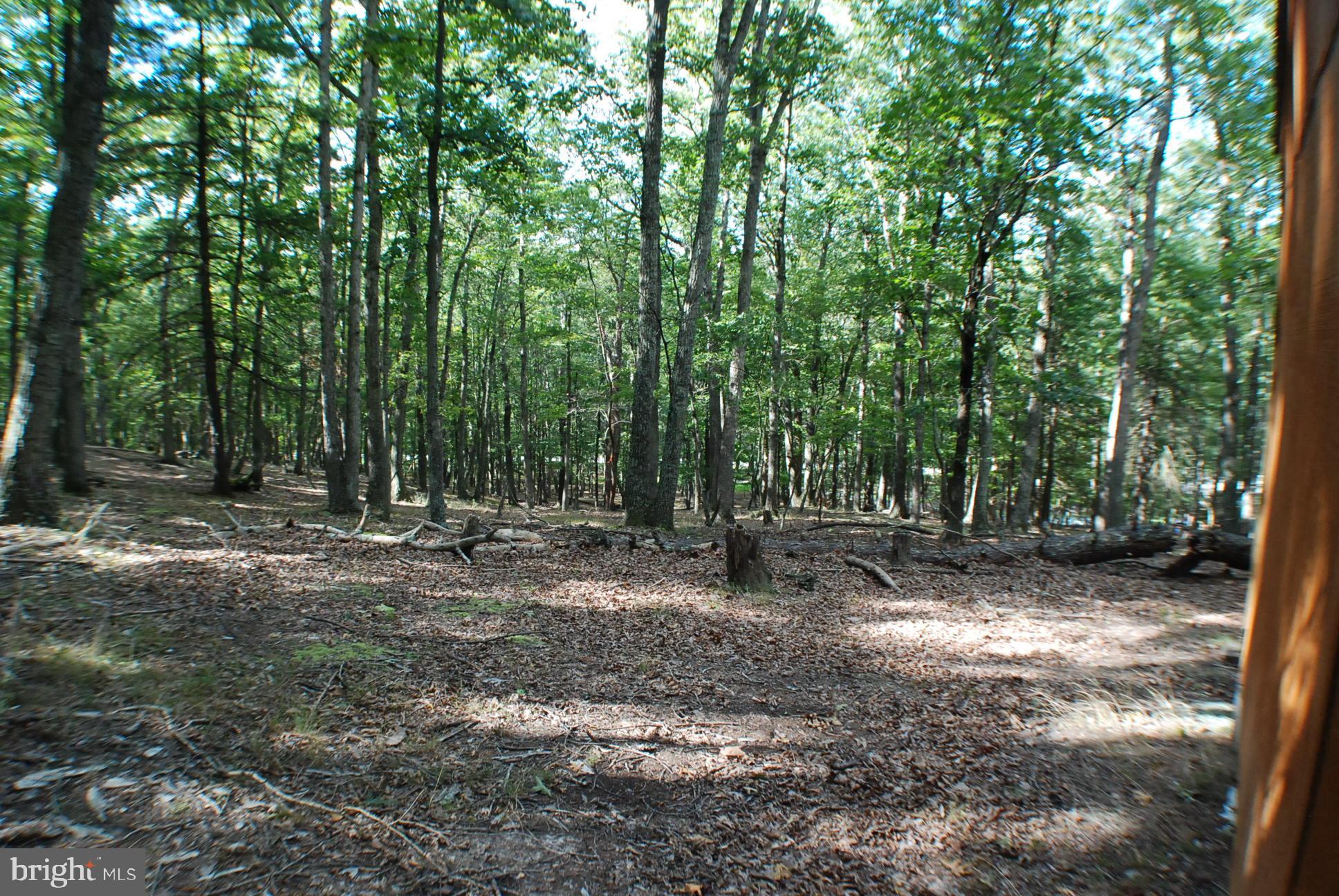 THE CROSSING AT GREAT CA - Land