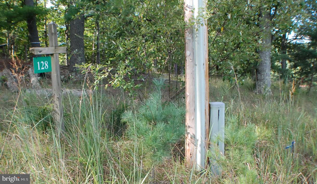 THE CROSSING AT GREAT CA - Land