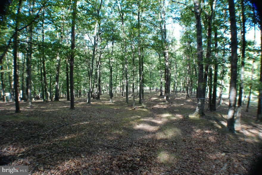 GEORGEOUS 6.8 ACRE BUILDING LOTS IN THE PRESTIGIOUS RIVER COMMUNITY "THE CROSSINGS @ GREAT CACAPON" FLAT ELEVATED BUILDING SITE WITH SEASONAL MOUNTAIN VIEWS,   Both Lot's perc for 3 BR. Conventional systems. Both lots surveyed and well marked. THIS GATED COMMUNITY OFFERS 3 COMMON AREAS ON THE CACAPON RIVER, SPEND THE WHOLE DAY ON THE WATER. BUILD YOUR WEEKEND RETREAT OR PERMANENT HOME