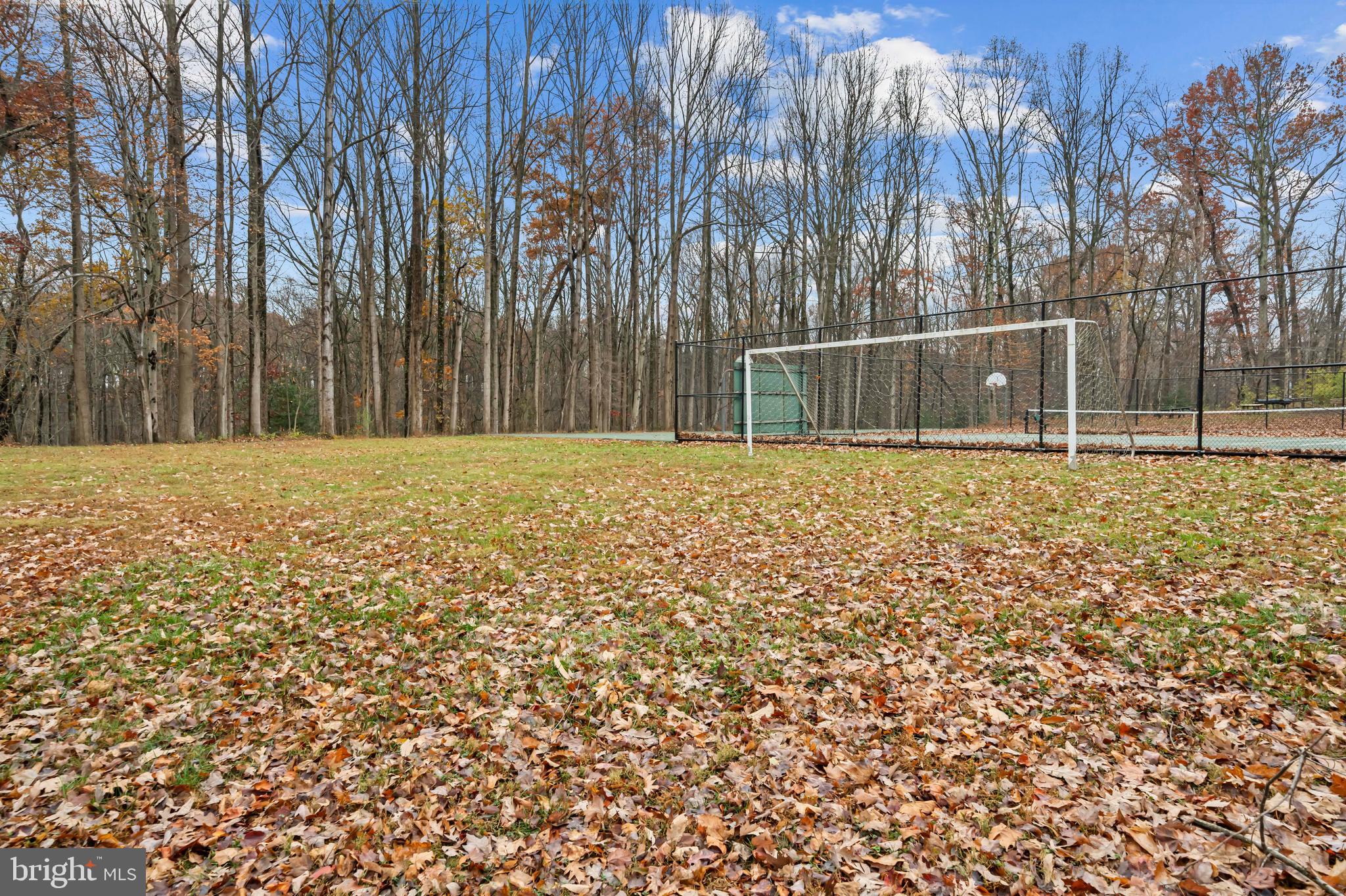 CHESTNUT GROVE - Residential