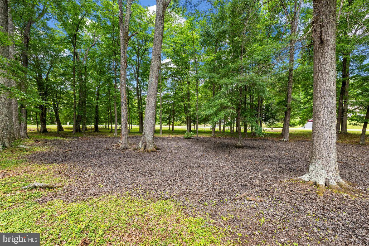 COURTHOUSE CROSSINGS - Residential