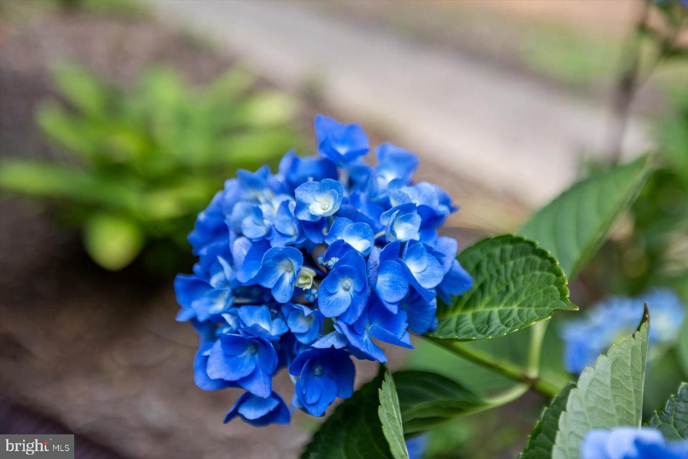 COURTHOUSE CROSSINGS - Residential