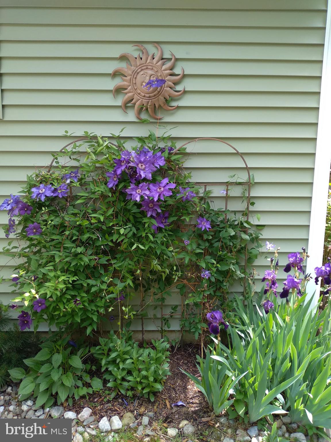 BURGUNDY HILLS - Residential