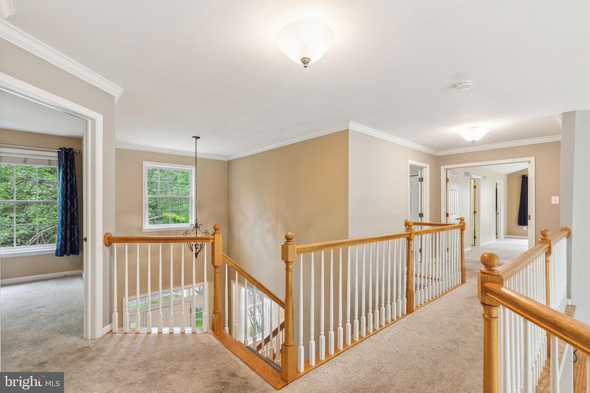 OLD MILL POINTE - Residential