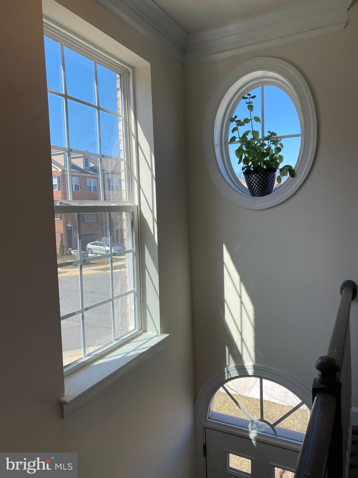 HAMILTON PARK - Residential