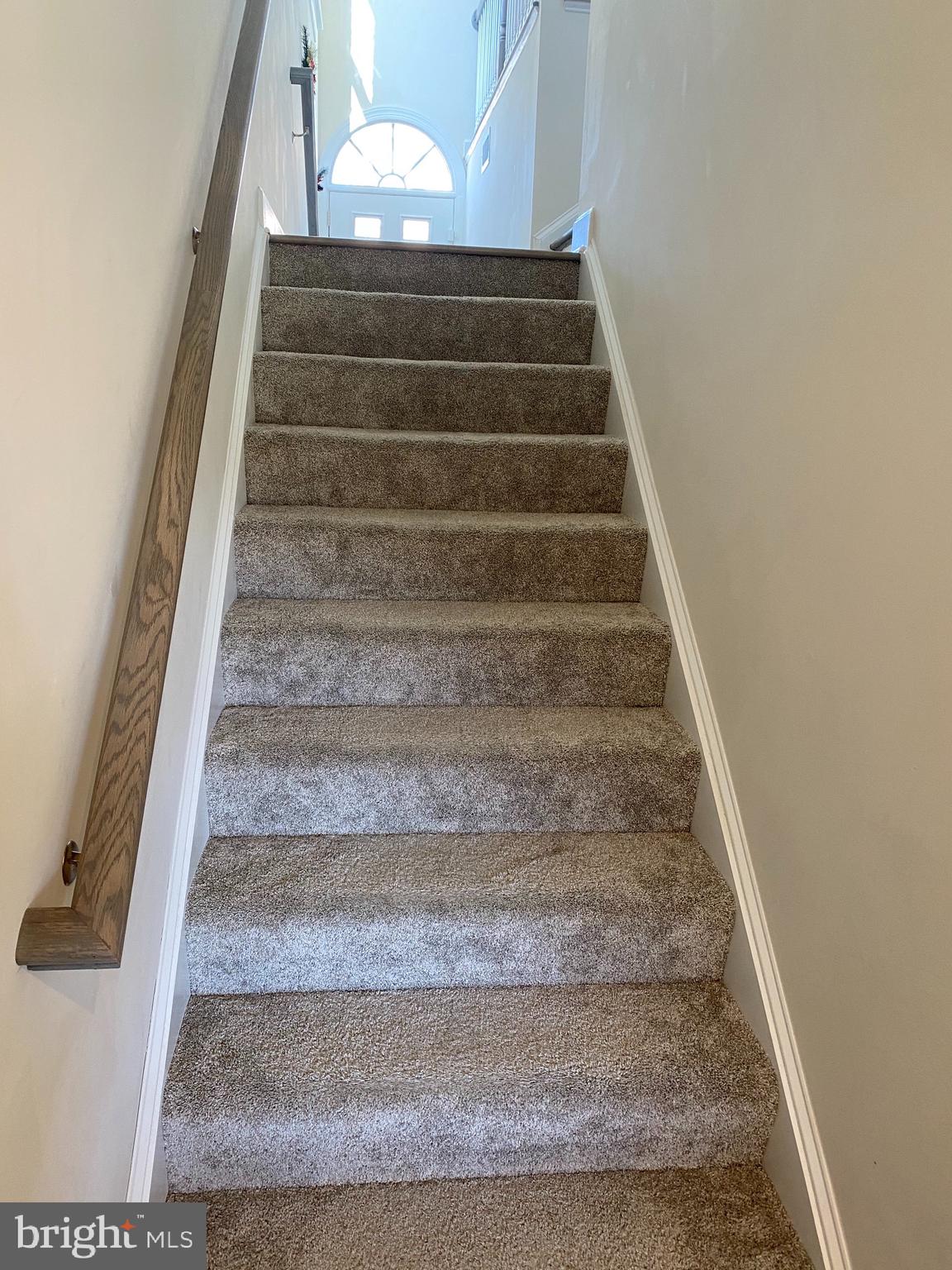 HAMILTON PARK - Residential