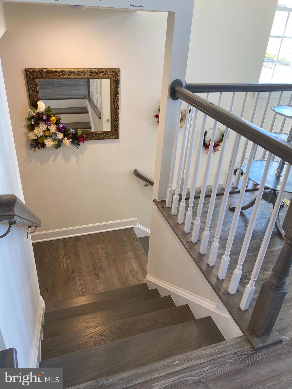 HAMILTON PARK - Residential