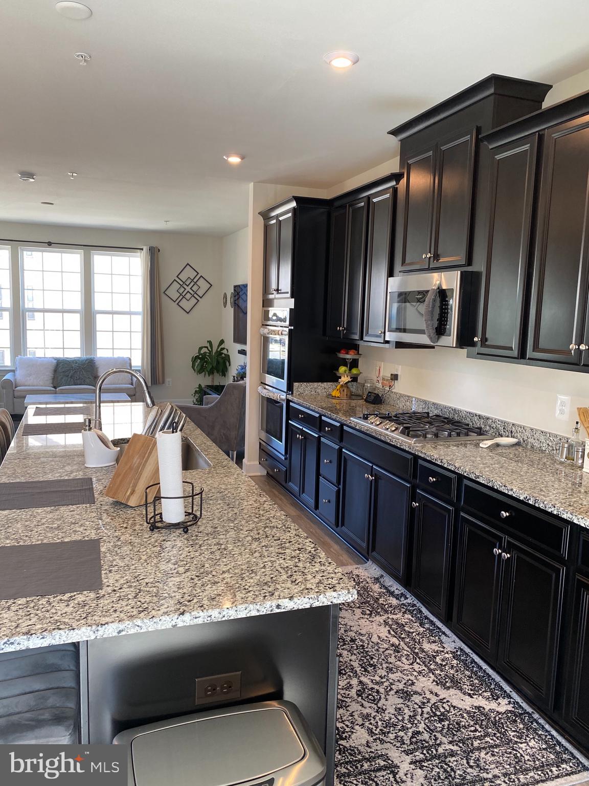 HAMILTON PARK - Residential