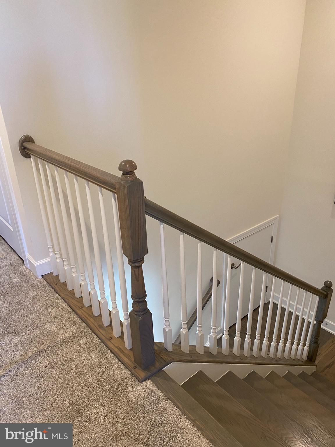 HAMILTON PARK - Residential