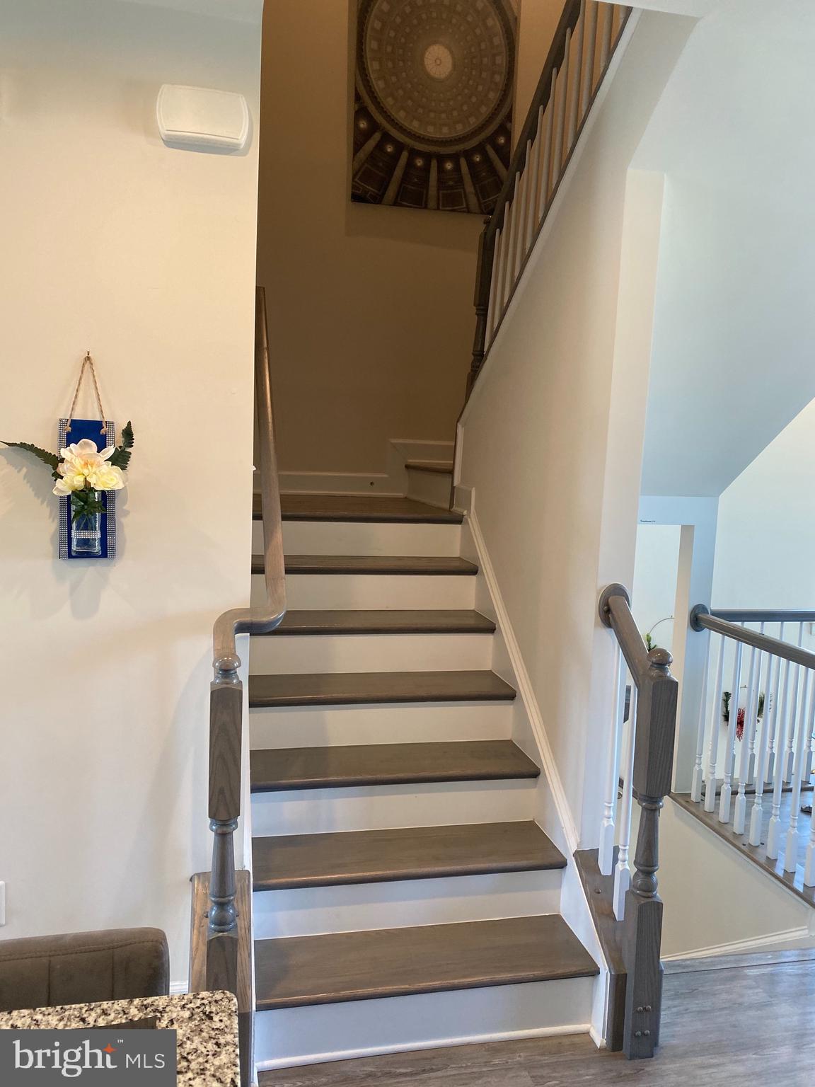 HAMILTON PARK - Residential