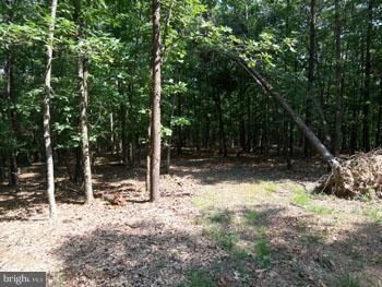 SLIM CHANCE ACRES - Land