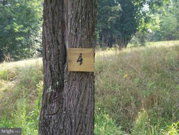 SLIM CHANCE ACRES - Land