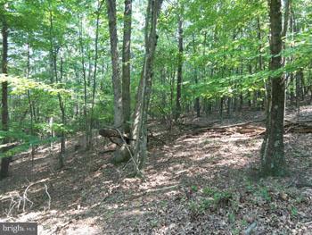 SLIM CHANCE ACRES - Land