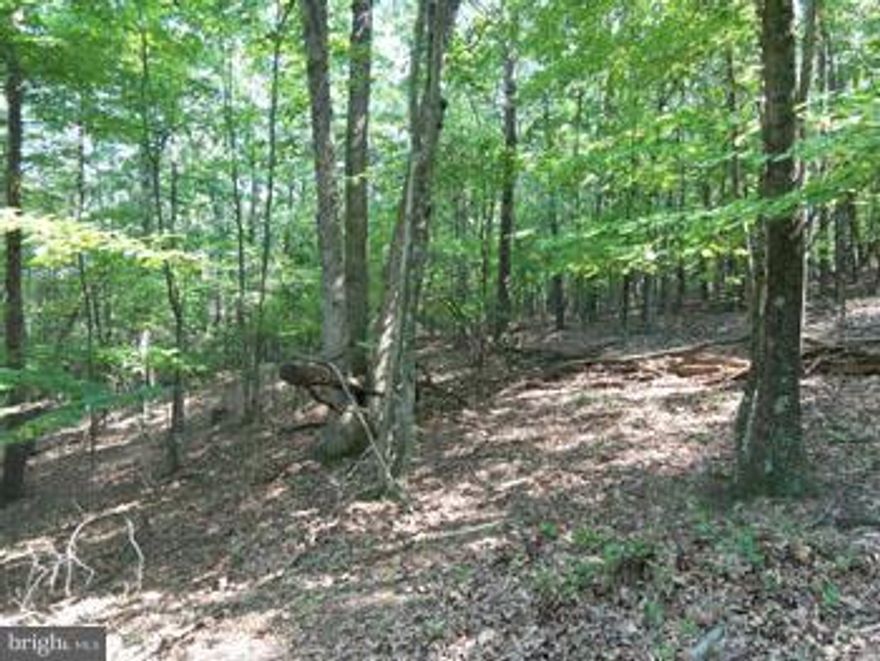 Slim Chance Acres---  13.47 wooded acres  in new subdivision located in southern Morgan County with current septic permit offering an eastern mountain view. Horse lovers welcome. Sellers offering owner financing to qualified buyers.