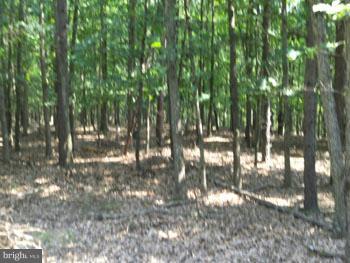 SLIM CHANCE ACRES - Land