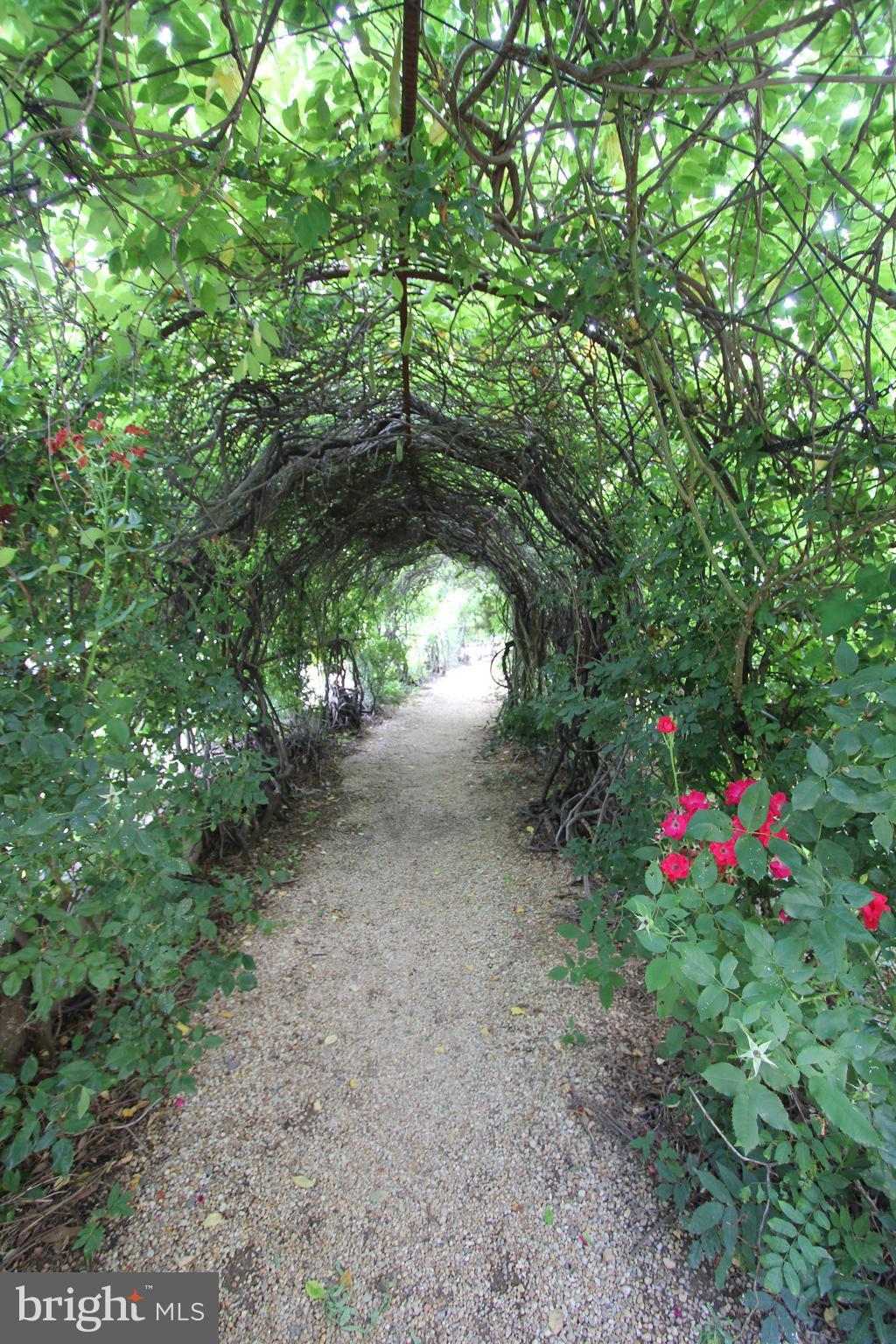 ROTONDA - Residential Lease