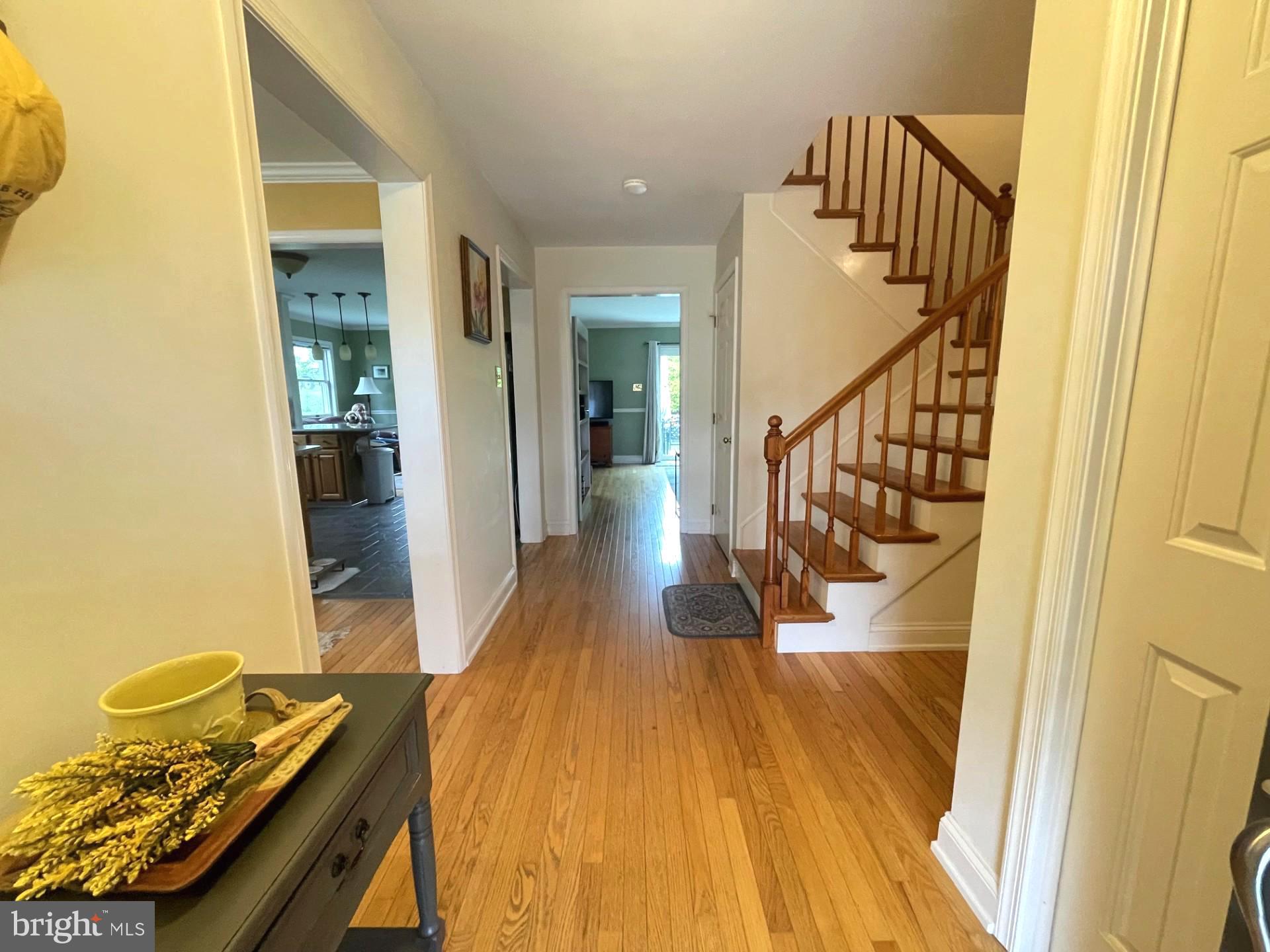 215 STEFFIE DRIVE