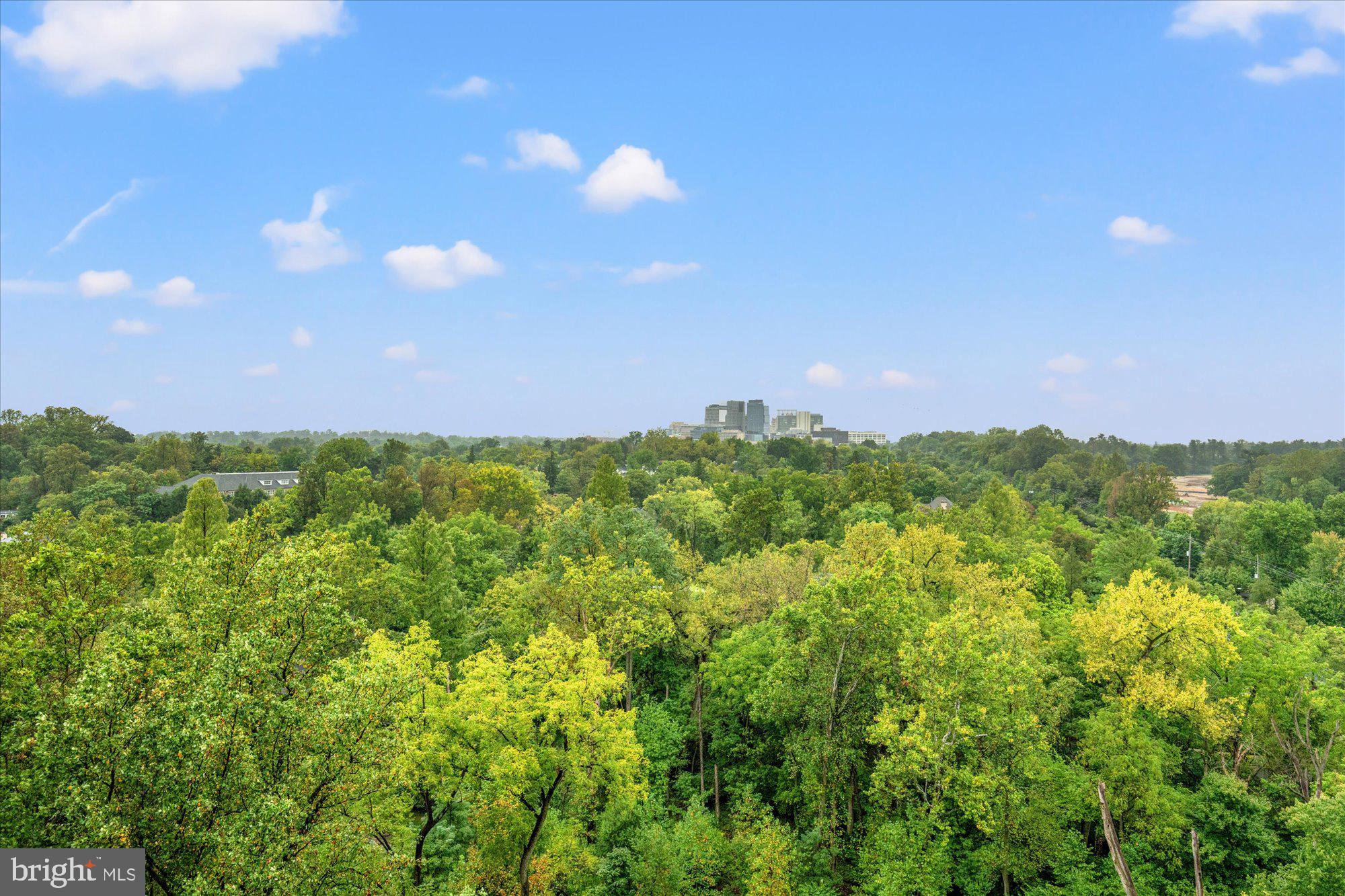 SOMERSET HOUSE - Residential