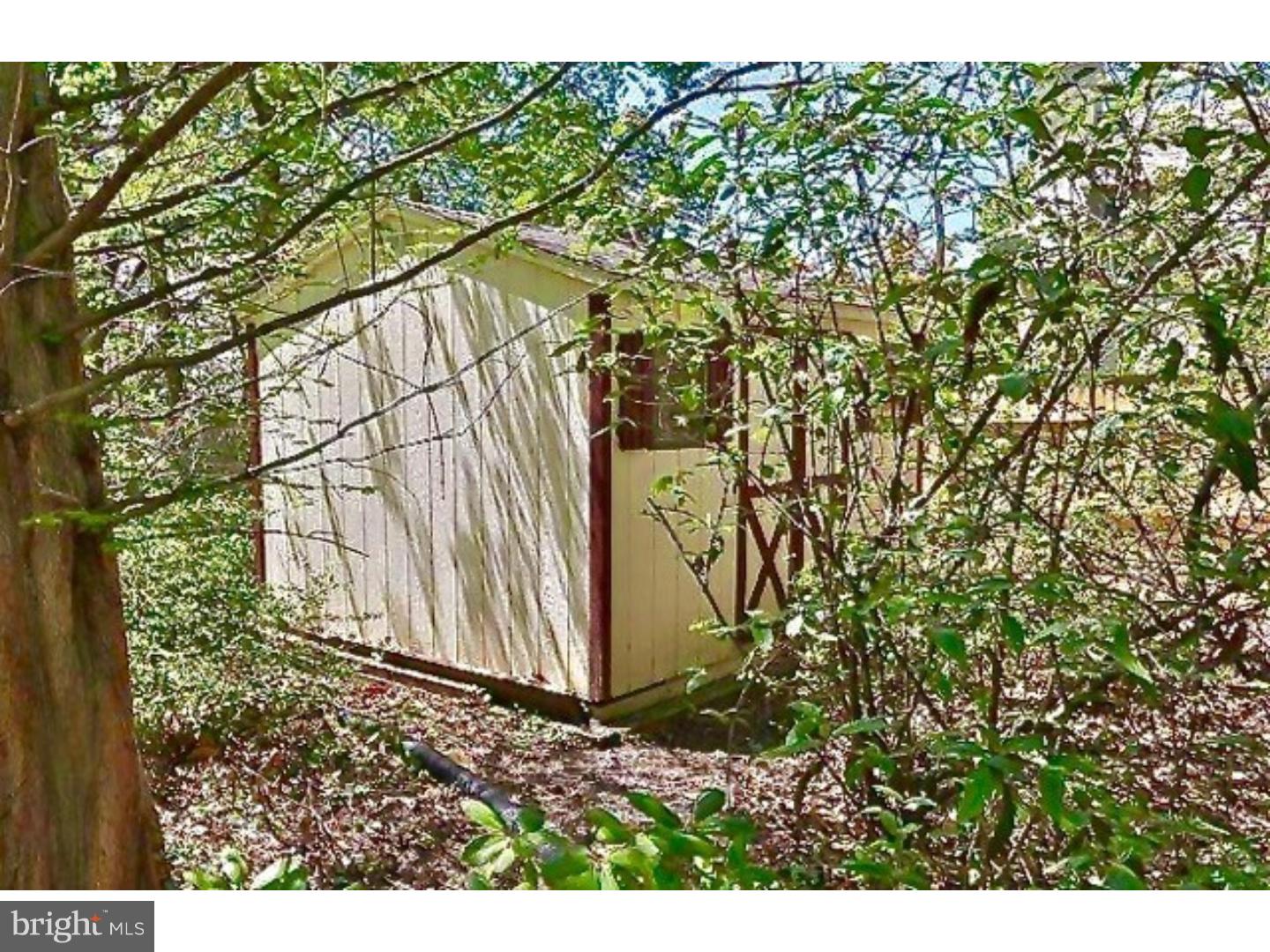 CHESTNUT HILL - Residential Lease