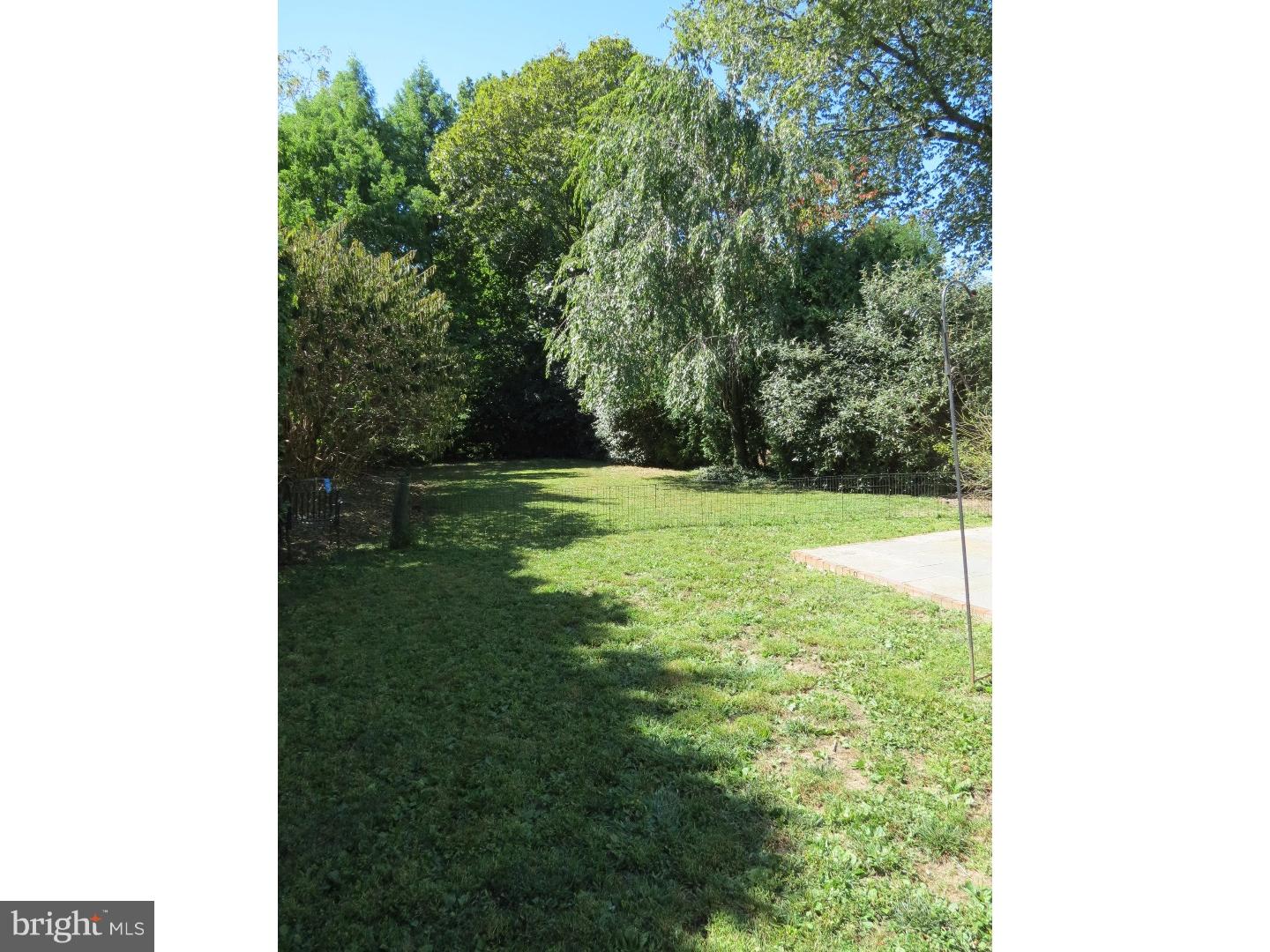 CHESTNUT HILL - Residential Lease