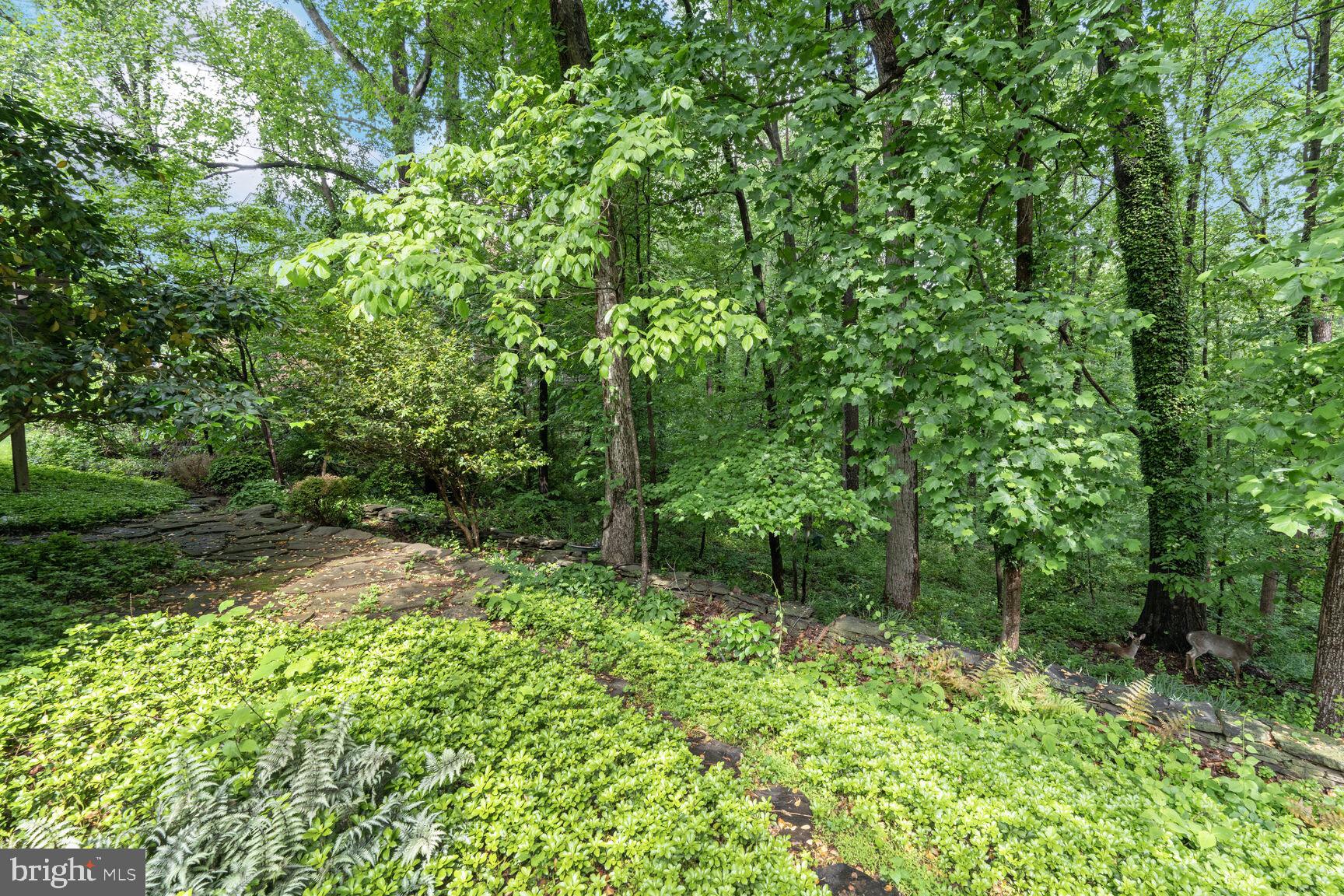 TIMBERLY SOUTH - Residential