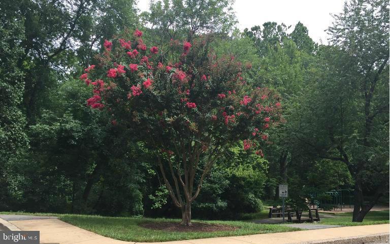 SHADY GROVE VILLAGE - Residential Lease