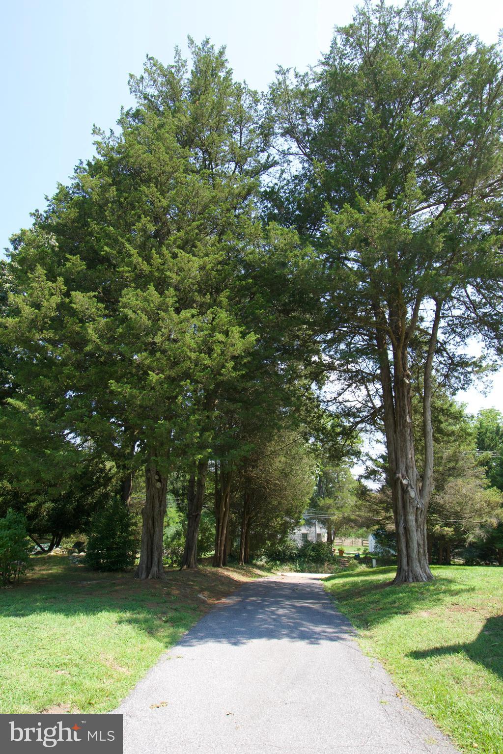 GLENCOE - Residential