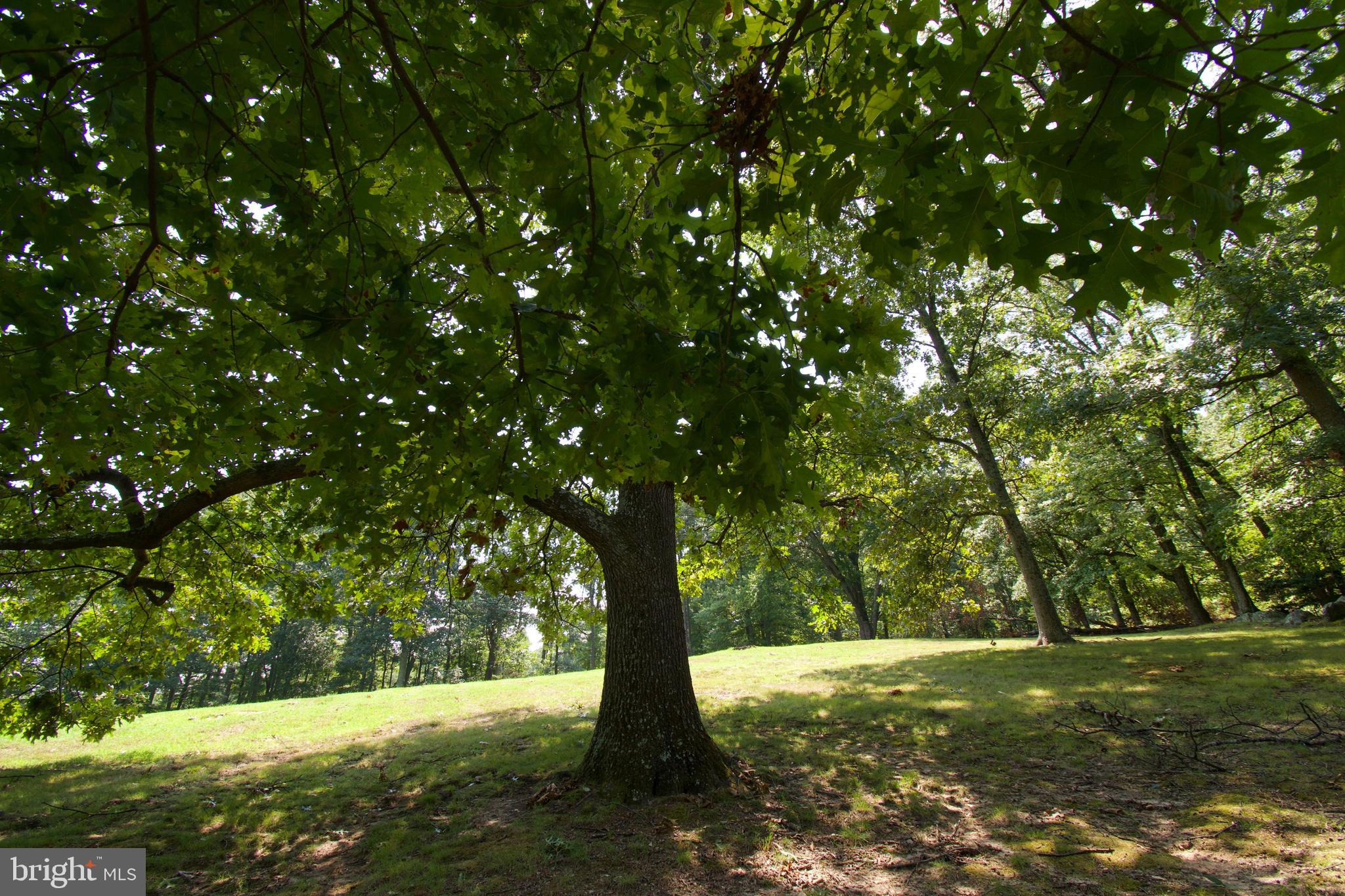 GLENCOE - Residential
